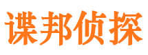 城子河市场调查